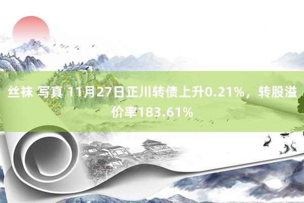 丝袜 写真 11月27日正川转债上升0.21%，转股溢价率183.61%