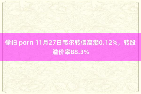 偷拍 porn 11月27日韦尔转债高潮0.12%，转股溢价率88.3%