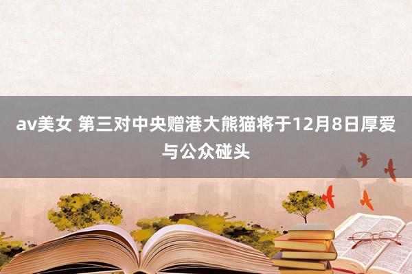 av美女 第三对中央赠港大熊猫将于12月8日厚爱与公众碰头