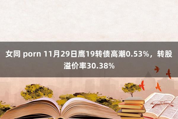 女同 porn 11月29日鹰19转债高潮0.53%，转股溢价率30.38%