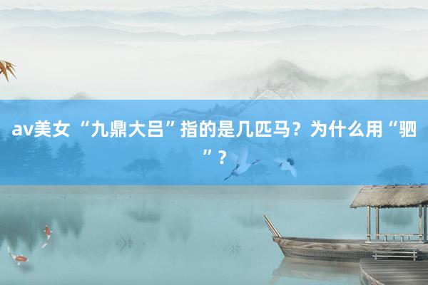 av美女 “九鼎大吕”指的是几匹马？为什么用“驷”？
