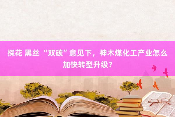 探花 黑丝 “双碳”意见下，神木煤化工产业怎么加快转型升级？