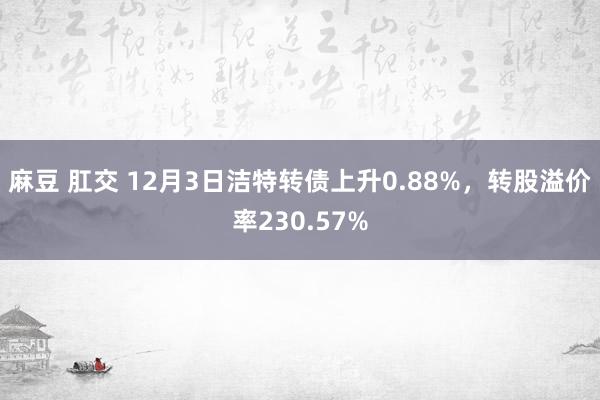 麻豆 肛交 12月3日洁特转债上升0.88%，转股溢价率230.57%