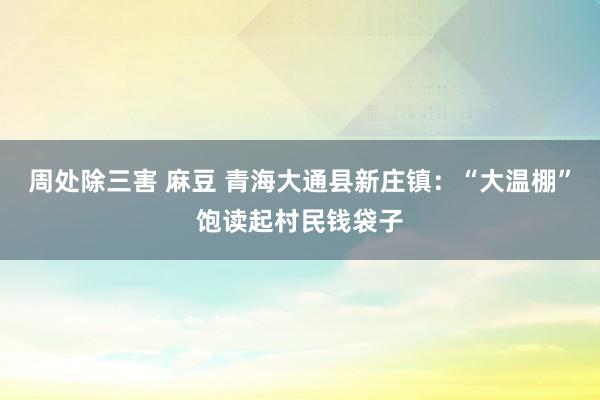 周处除三害 麻豆 青海大通县新庄镇：“大温棚”饱读起村民钱袋子