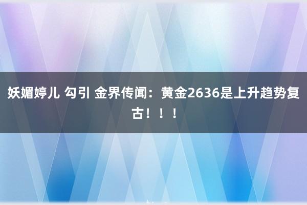 妖媚婷儿 勾引 金界传闻：黄金2636是上升趋势复古！！！