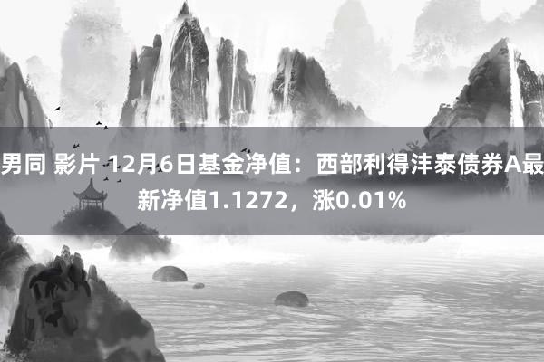 男同 影片 12月6日基金净值：西部利得沣泰债券A最新净值1.1272，涨0.01%
