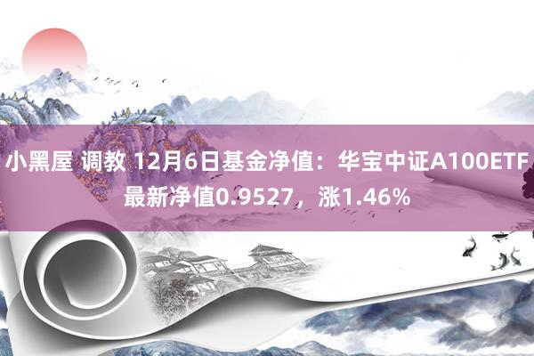 小黑屋 调教 12月6日基金净值：华宝中证A100ETF最新净值0.9527，涨1.46%
