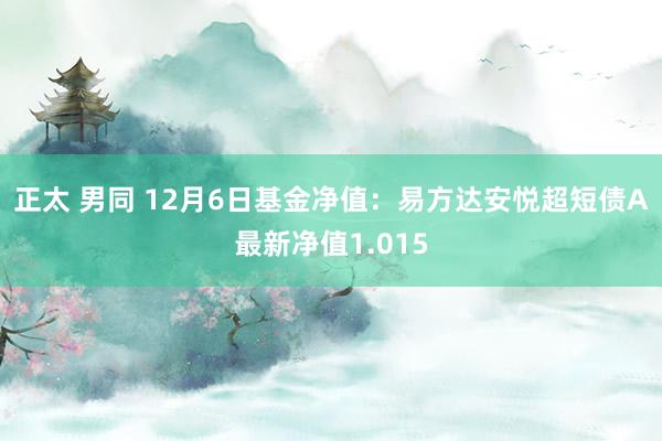 正太 男同 12月6日基金净值：易方达安悦超短债A最新净值1.015
