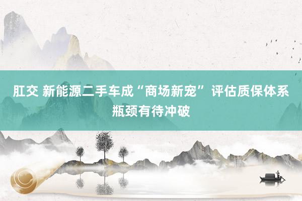 肛交 新能源二手车成“商场新宠” 评估质保体系瓶颈有待冲破