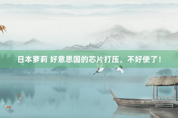 日本萝莉 好意思国的芯片打压，不好使了！