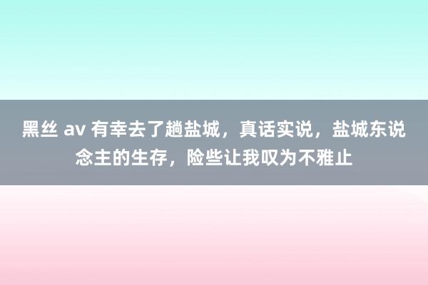 黑丝 av 有幸去了趟盐城，真话实说，盐城东说念主的生存，险些让我叹为不雅止