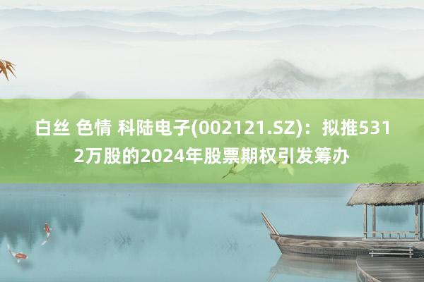 白丝 色情 科陆电子(002121.SZ)：拟推5312万股的2024年股票期权引发筹办