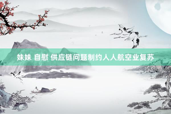 妹妹 自慰 供应链问题制约人人航空业复苏