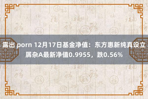 露出 porn 12月17日基金净值：东方惠新纯真设立羼杂A最新净值0.9955，跌0.56%