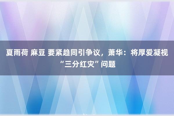 夏雨荷 麻豆 要紧趋同引争议，萧华：将厚爱凝视“三分红灾”问题