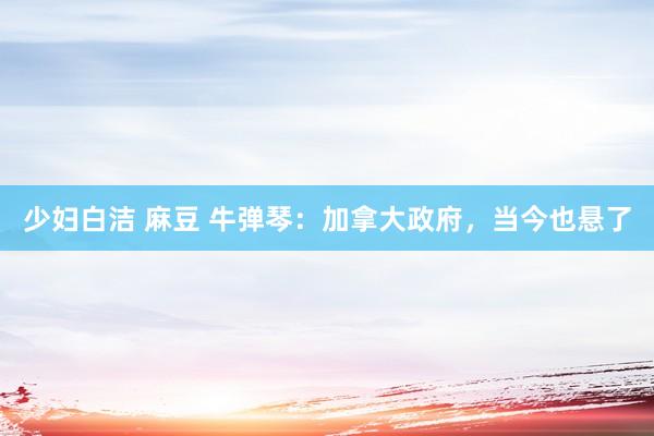 少妇白洁 麻豆 牛弹琴：加拿大政府，当今也悬了