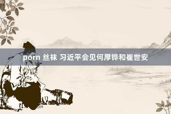 porn 丝袜 习近平会见何厚铧和崔世安