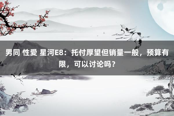 男同 性愛 星河E8：托付厚望但销量一般，预算有限，可以讨论吗？