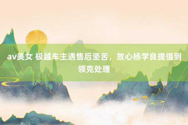 av美女 极越车主遇售后坚苦，放心杨学良提倡到领克处理