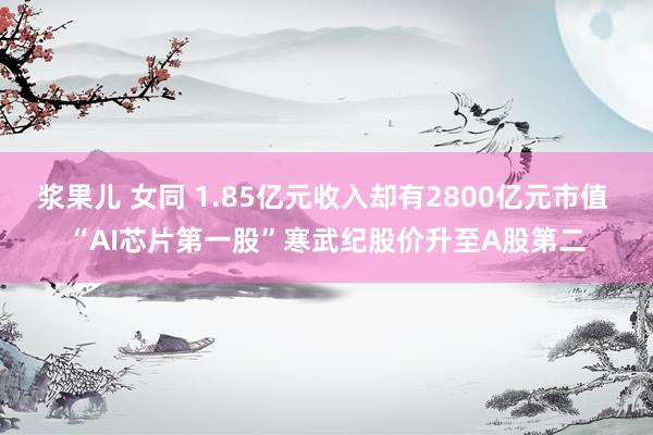 浆果儿 女同 1.85亿元收入却有2800亿元市值 “AI芯片第一股”寒武纪股价升至A股第二