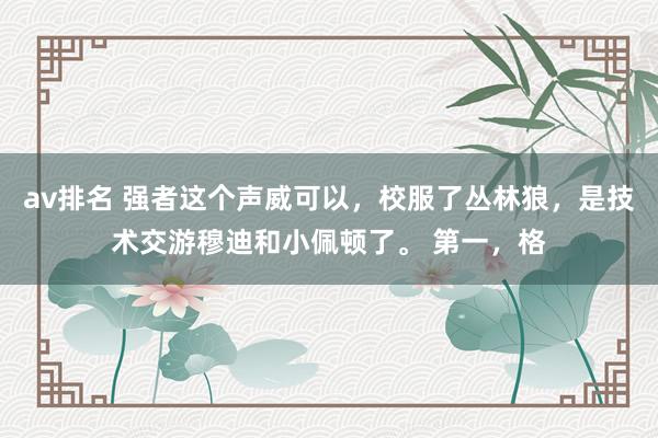av排名 强者这个声威可以，校服了丛林狼，是技术交游穆迪和小佩顿了。 第一，格
