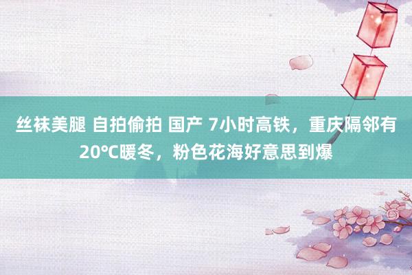 丝袜美腿 自拍偷拍 国产 7小时高铁，重庆隔邻有20℃暖冬，粉色花海好意思到爆