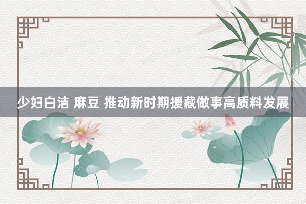 少妇白洁 麻豆 推动新时期援藏做事高质料发展