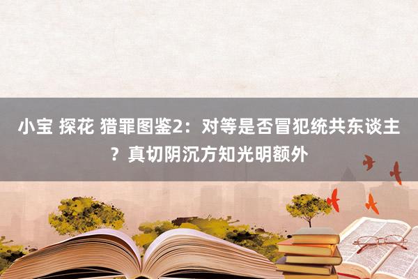 小宝 探花 猎罪图鉴2：对等是否冒犯统共东谈主？真切阴沉方知光明额外