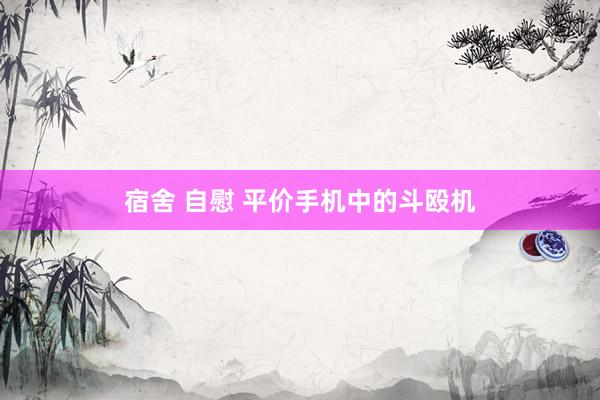 宿舍 自慰 平价手机中的斗殴机