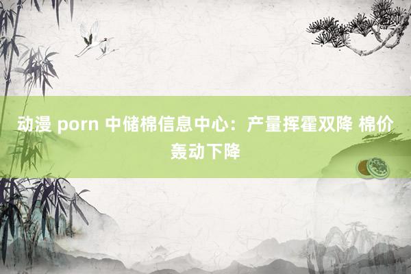 动漫 porn 中储棉信息中心：产量挥霍双降 棉价轰动下降