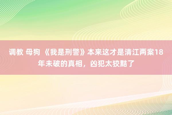 调教 母狗 《我是刑警》本来这才是清江两案18年未破的真相，凶犯太狡黠了