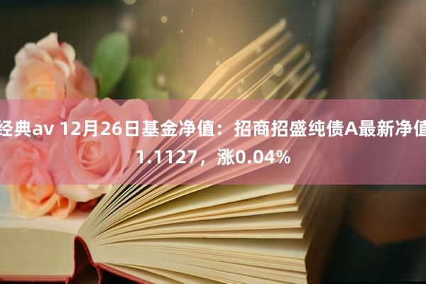 经典av 12月26日基金净值：招商招盛纯债A最新净值1.1127，涨0.04%