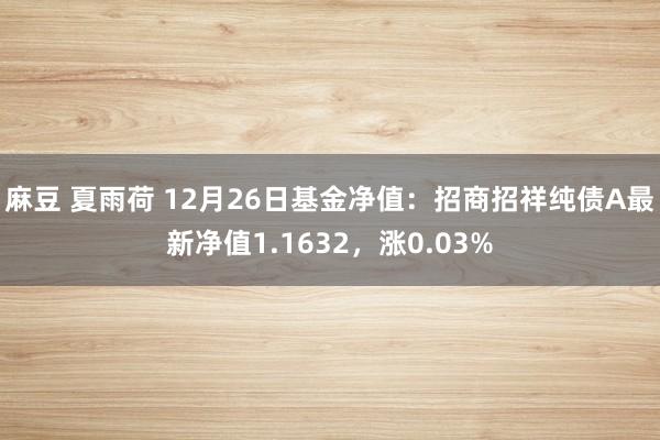 麻豆 夏雨荷 12月26日基金净值：招商招祥纯债A最新净值1.1632，涨0.03%