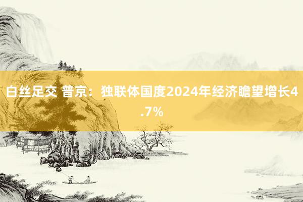 白丝足交 普京：独联体国度2024年经济瞻望增长4.7%