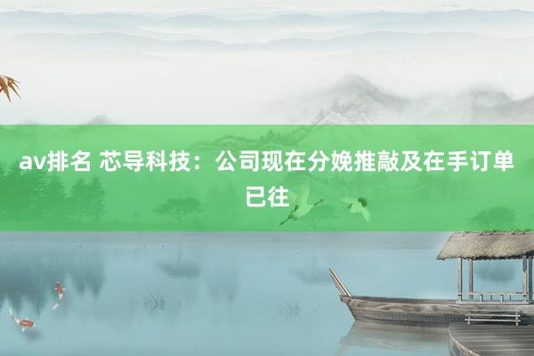 av排名 芯导科技：公司现在分娩推敲及在手订单已往