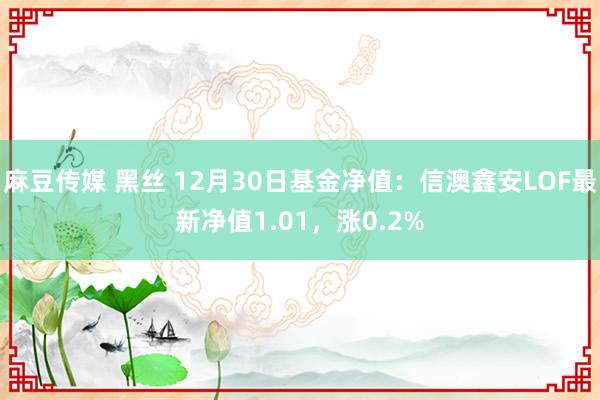麻豆传媒 黑丝 12月30日基金净值：信澳鑫安LOF最新净值1.01，涨0.2%