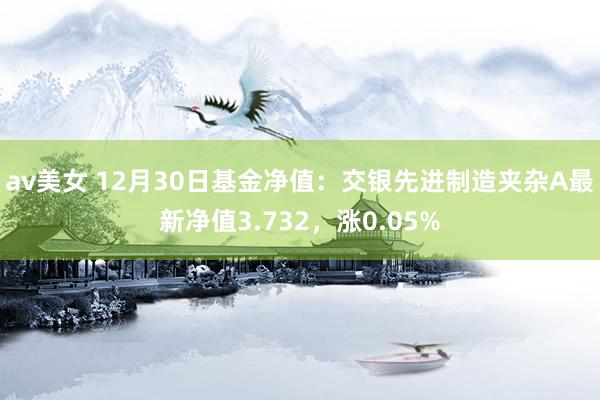 av美女 12月30日基金净值：交银先进制造夹杂A最新净值3.732，涨0.05%