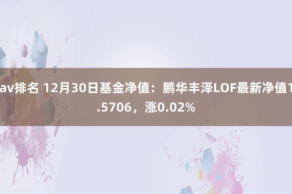 av排名 12月30日基金净值：鹏华丰泽LOF最新净值1.5706，涨0.02%