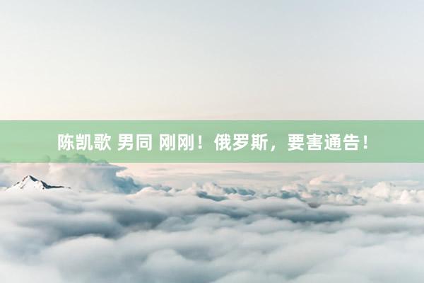 陈凯歌 男同 刚刚！俄罗斯，要害通告！