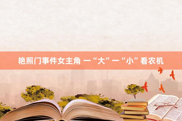艳照门事件女主角 一“大”一“小”看农机