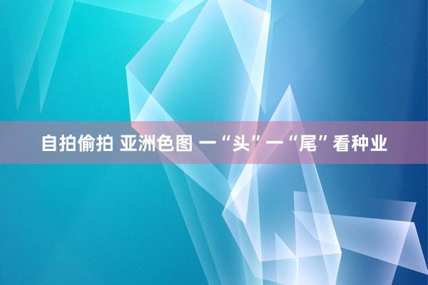 自拍偷拍 亚洲色图 一“头”一“尾”看种业