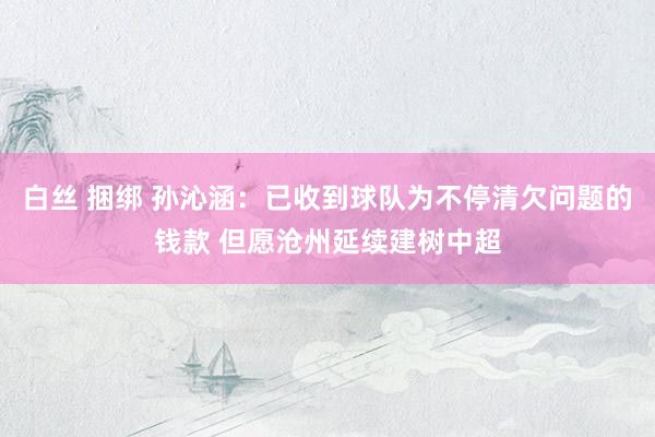 白丝 捆绑 孙沁涵：已收到球队为不停清欠问题的钱款 但愿沧州延续建树中超