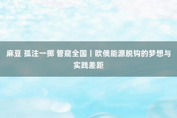 麻豆 孤注一掷 管窥全国丨欧俄能源脱钩的梦想与实践差距