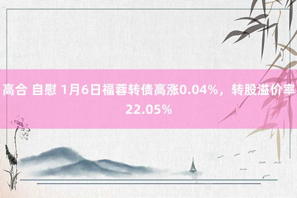 高合 自慰 1月6日福蓉转债高涨0.04%，转股溢价率22.05%