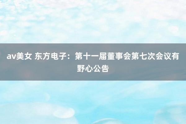 av美女 东方电子：第十一届董事会第七次会议有野心公告
