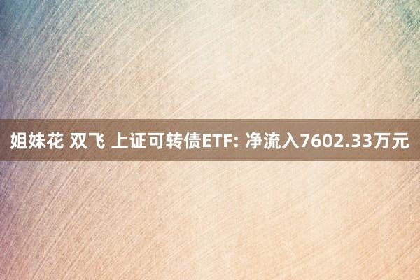 姐妹花 双飞 上证可转债ETF: 净流入7602.33万元