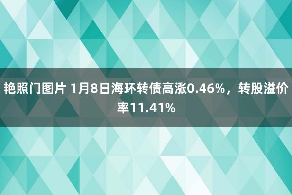 艳照门图片 1月8日海环转债高涨0.46%，转股溢价率11.41%