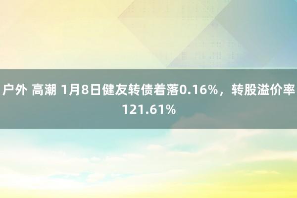 户外 高潮 1月8日健友转债着落0.16%，转股溢价率121.61%