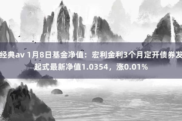 经典av 1月8日基金净值：宏利金利3个月定开债券发起式最新净值1.0354，涨0.01%