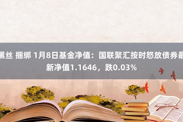 黑丝 捆绑 1月8日基金净值：国联聚汇按时怒放债券最新净值1.1646，跌0.03%